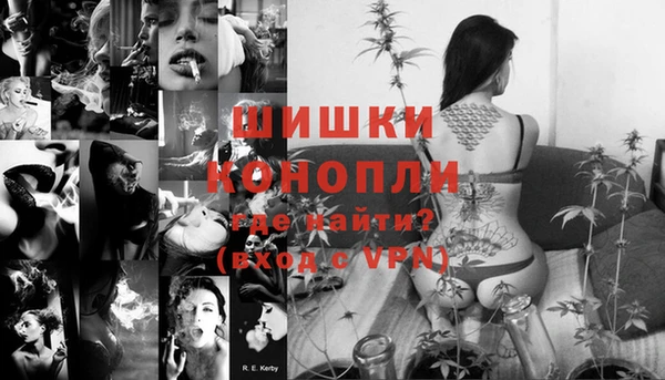 сатива Ростов