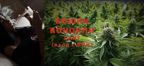 крисы Россошь